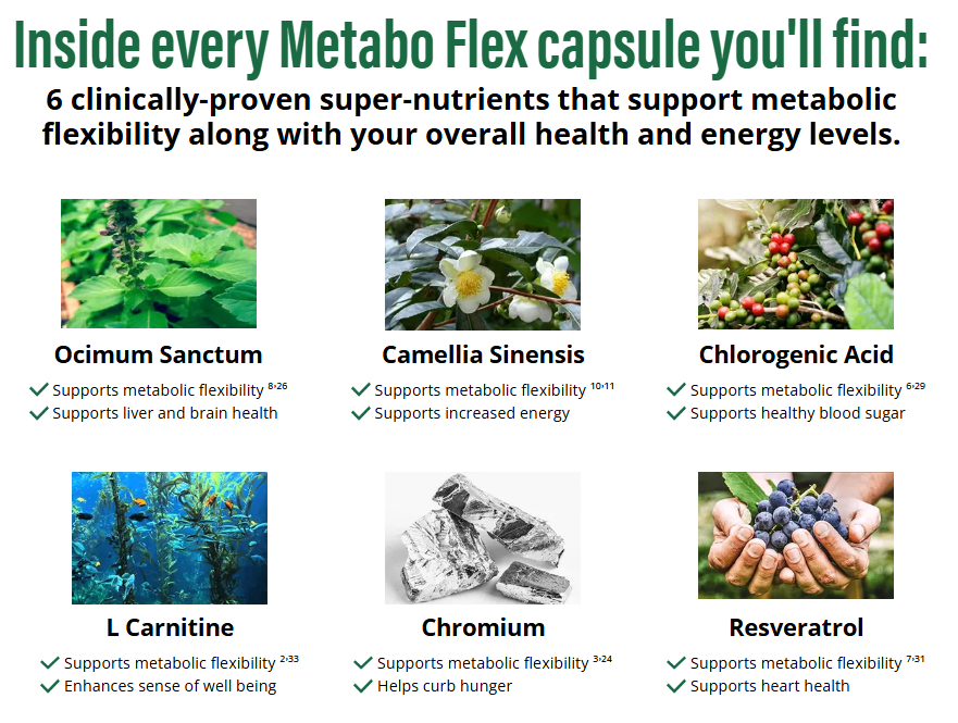 metabo flex ingredients